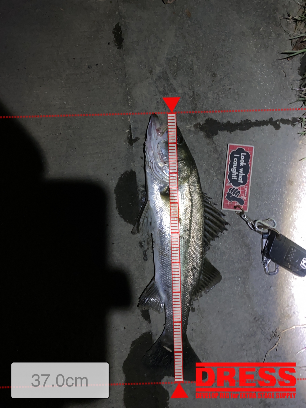 10491_0_c6ab1d339c19cc4e28a9c0dc1adcff49