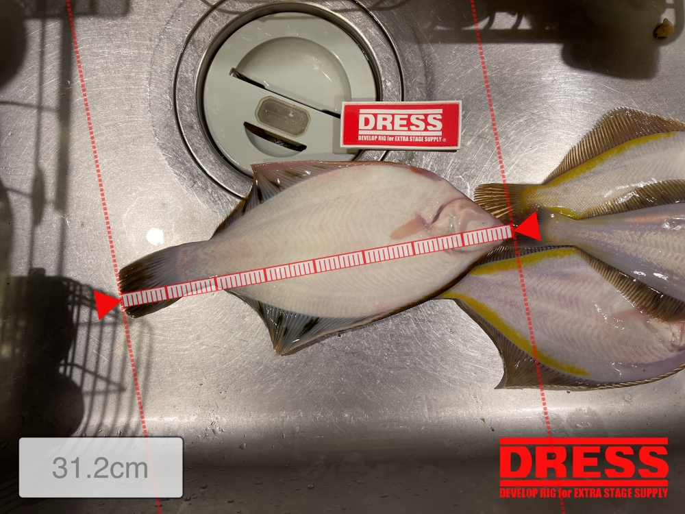 10496_0_8789fa05cbe279abd07705b1cd98872d