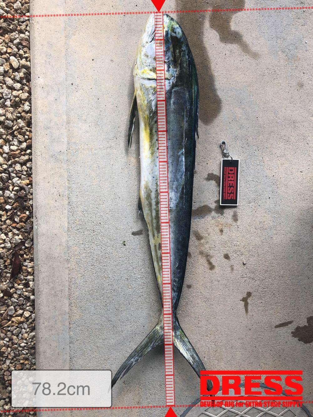 10526_0_4ec48c6b4c3ab46bc20993858eb74b3a