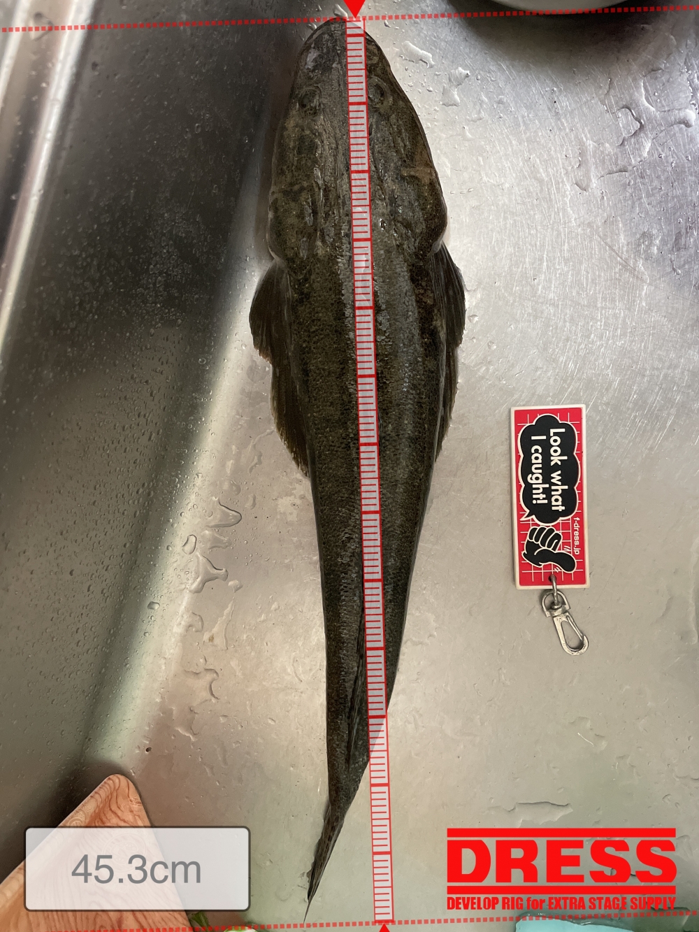 10543_0_22a095bcaf68196992e5b0c64604a2db