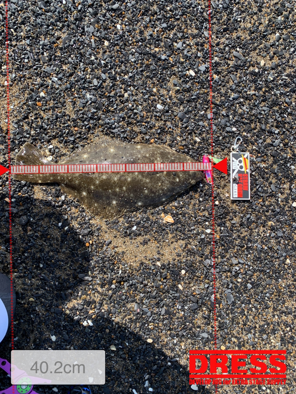 10556_0_08c7a75c51005e0918c0f2346ddec45f