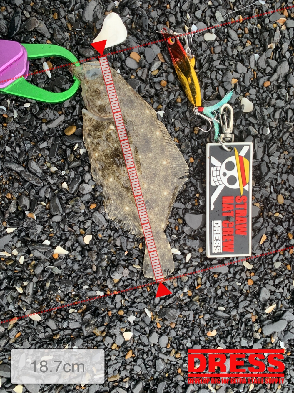 10556_0_4d1063b0ea0f5f22909b71288d830a0f