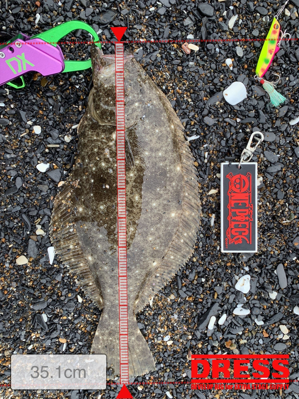 10556_0_63723ab1428ef35b1110f2cbcd0bf256