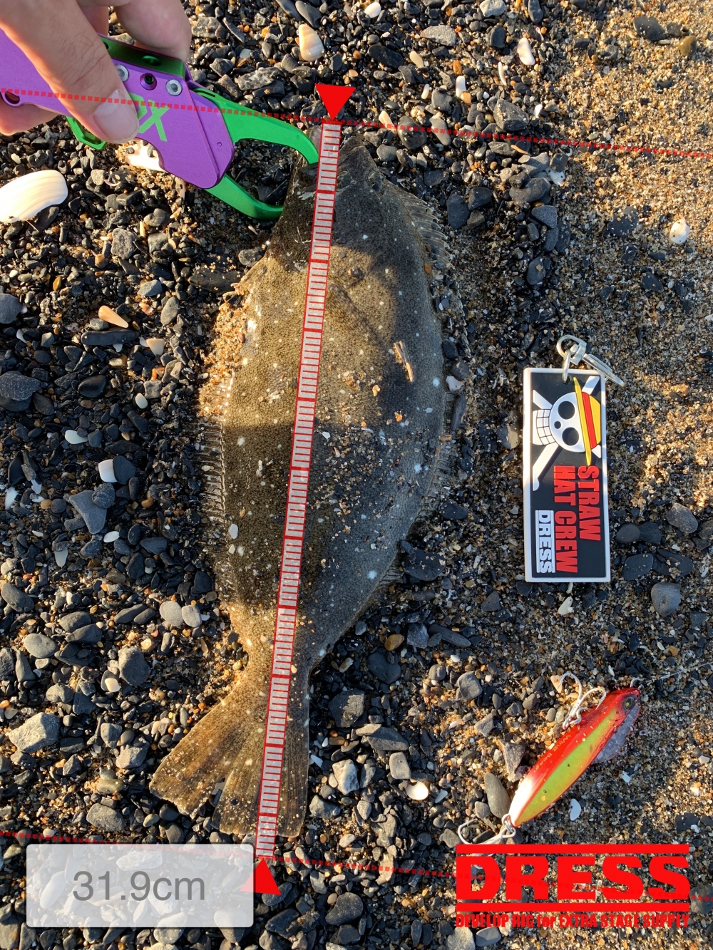 10556_0_ab9b49f1983d23aeeba8f801a669b474