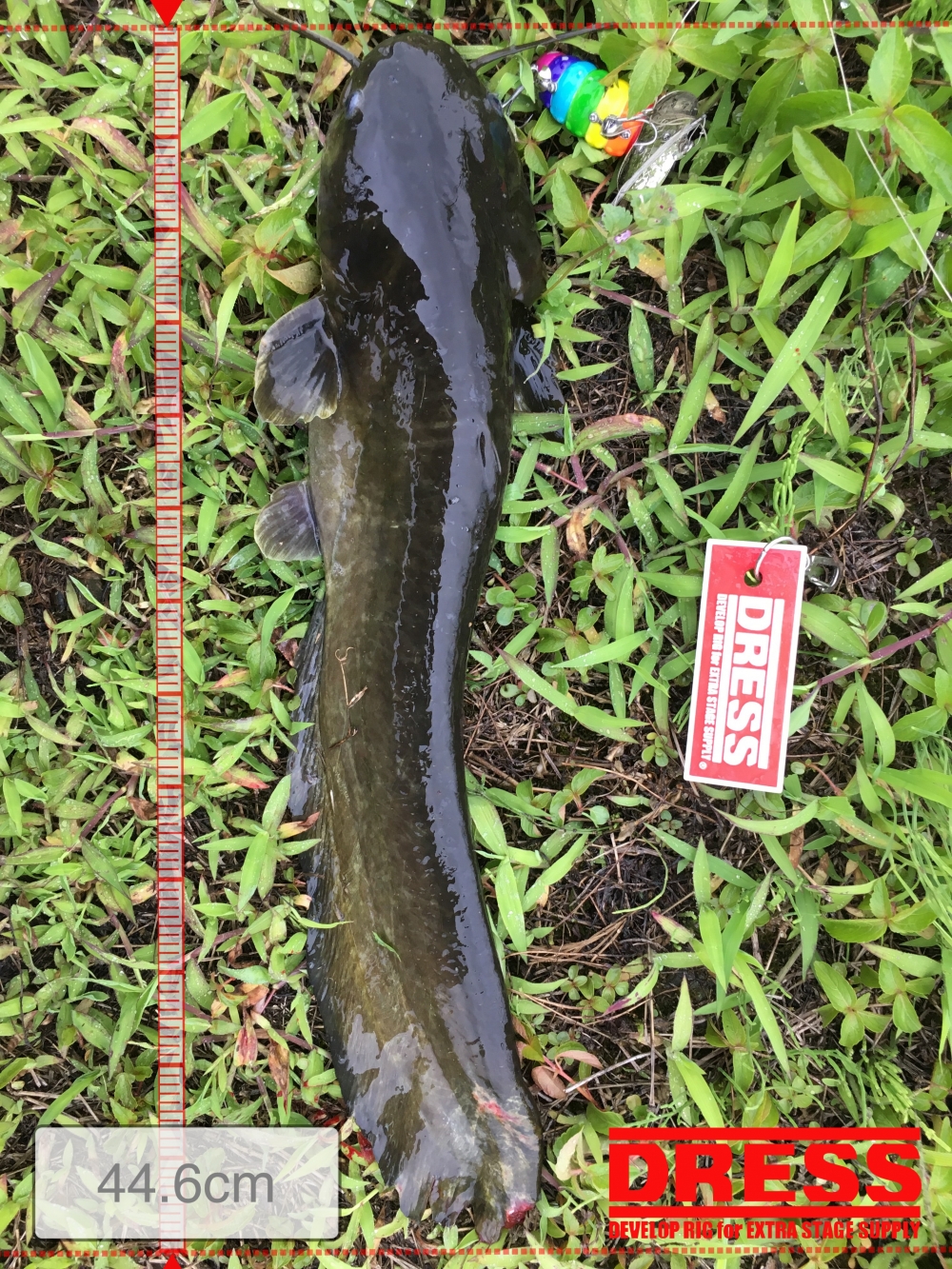 1057_0_544cd76e0e3053c77fe0639ab2c7f60e