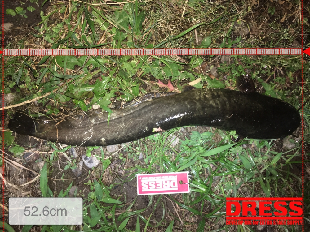 1057_0_f8e71e9f95a20ad9ac2e8d9e2a2cf057