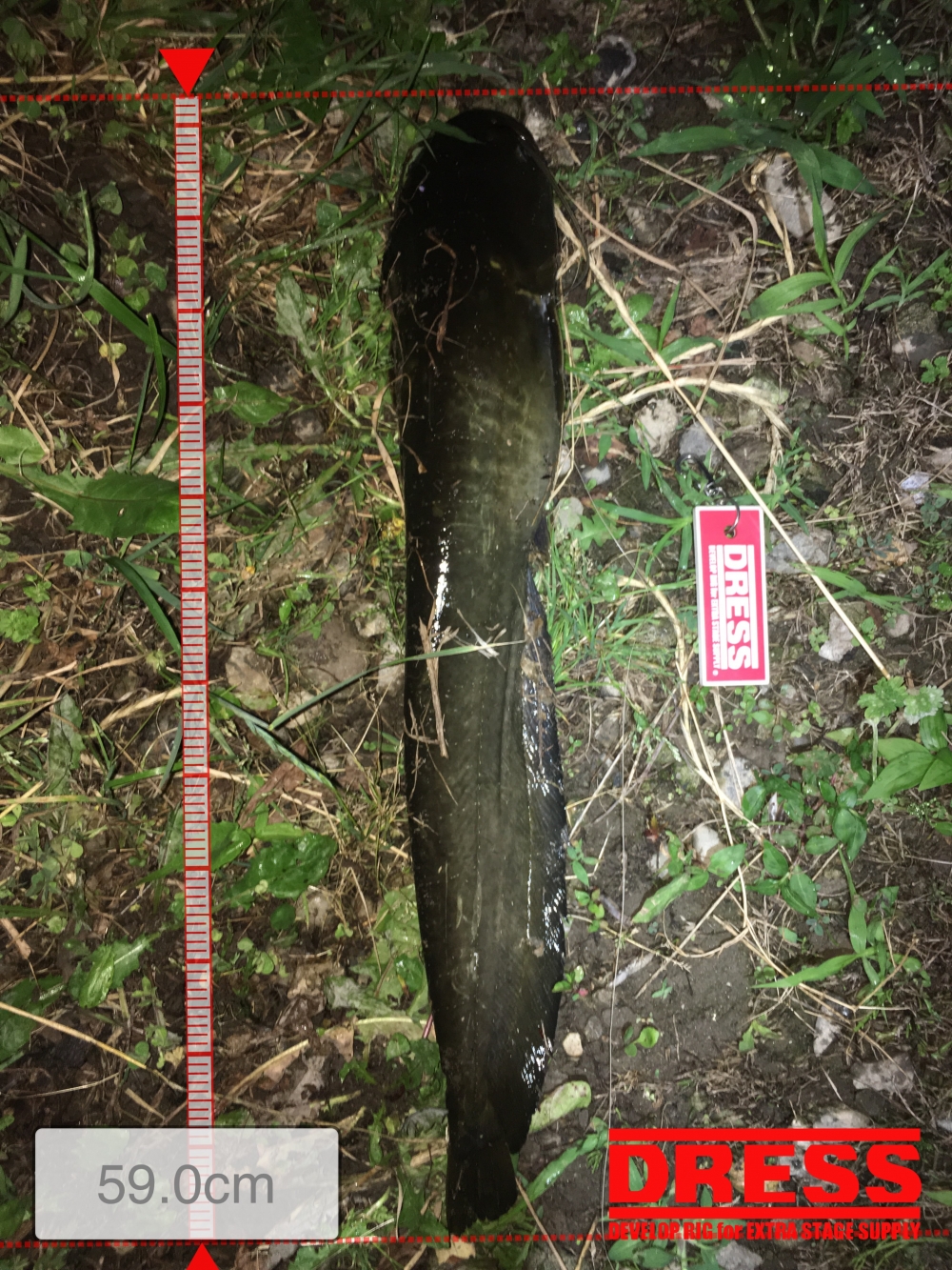 1057_0_ff8f0d2ac7dc8cc3feae17222f556118