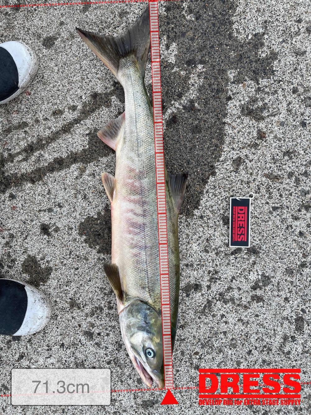 10595_0_2dd3b5f43a118e645c3820802b19b1fa