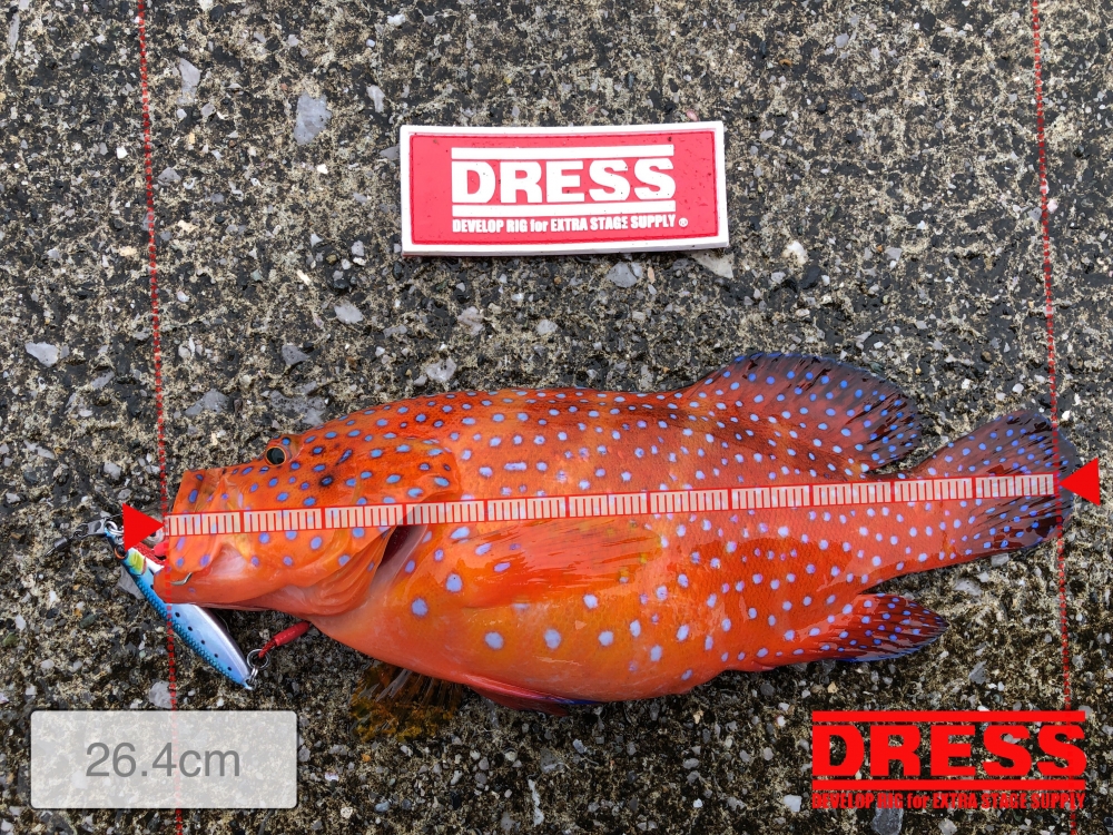 10674_0_91516e88351da95a5c4295125f36bb75