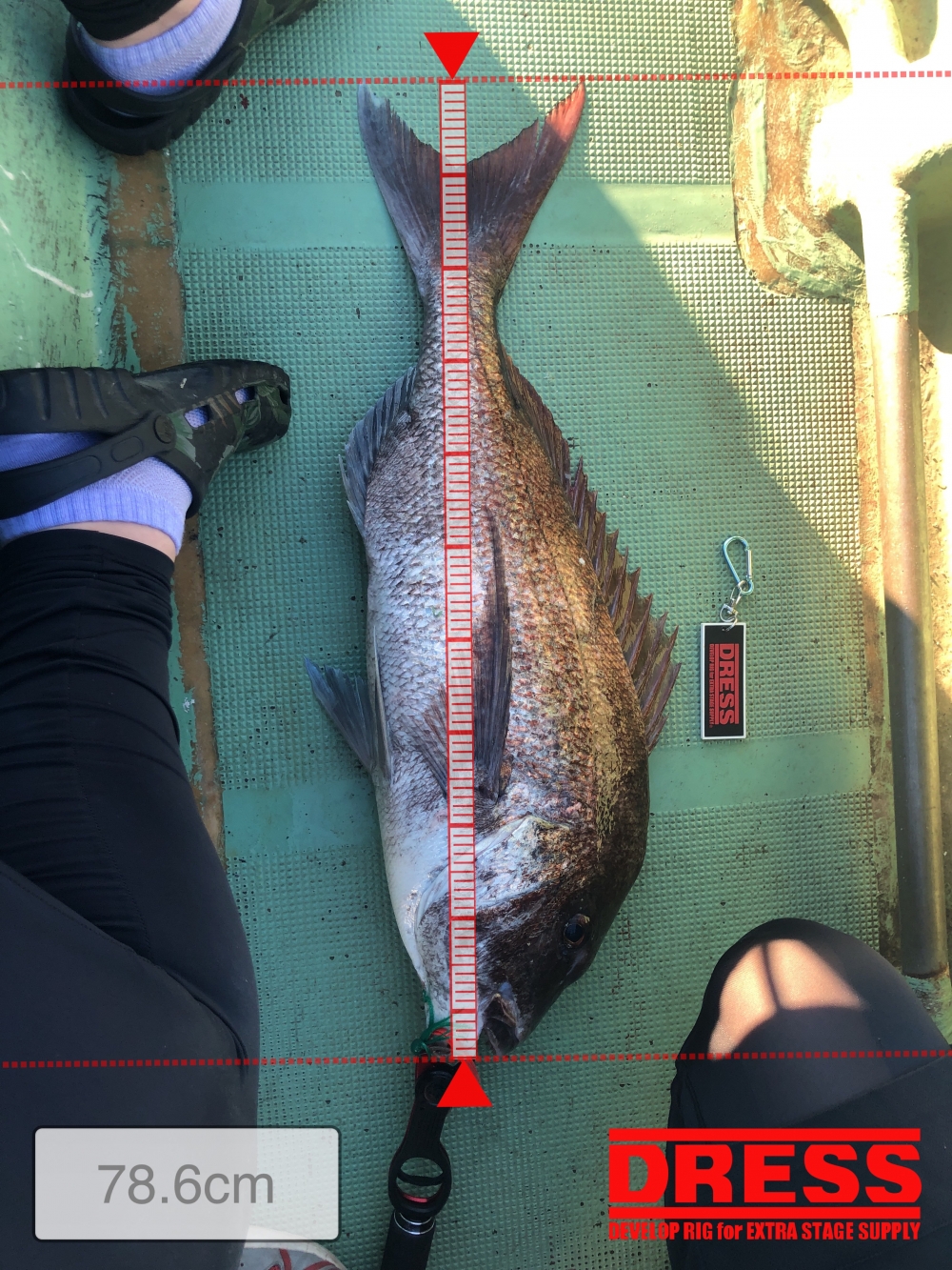 10692_0_a1a9464cf2fc997e12a3f29776302f22