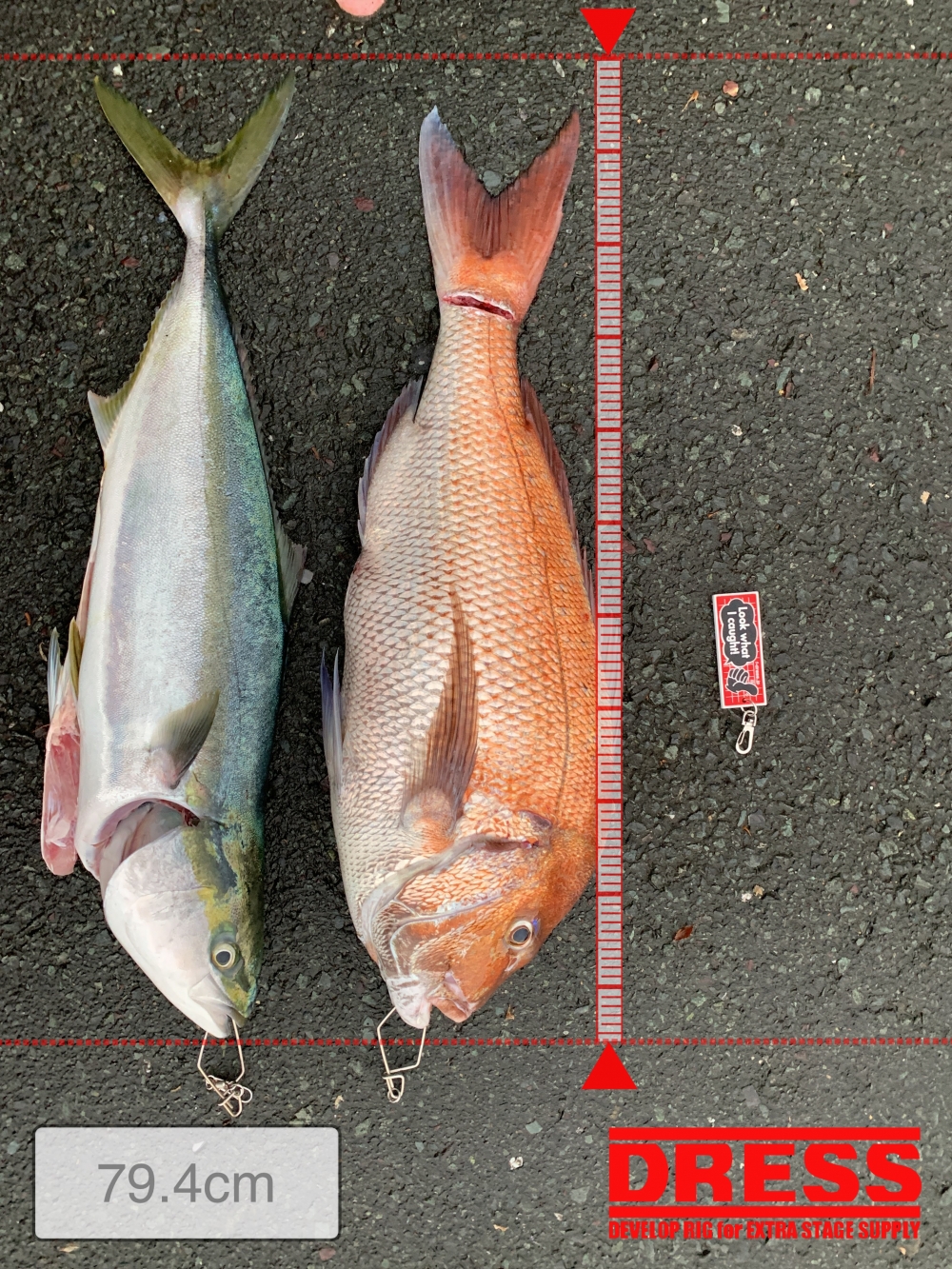 10718_0_33543e51fd8370daf965883b6625b939