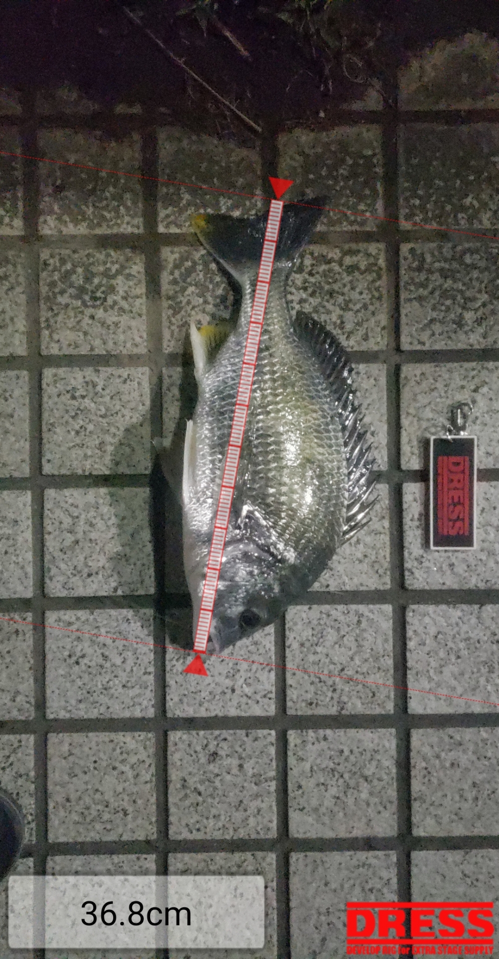 10732_0_8a6915f9a0f75add8d597a021c3824e1