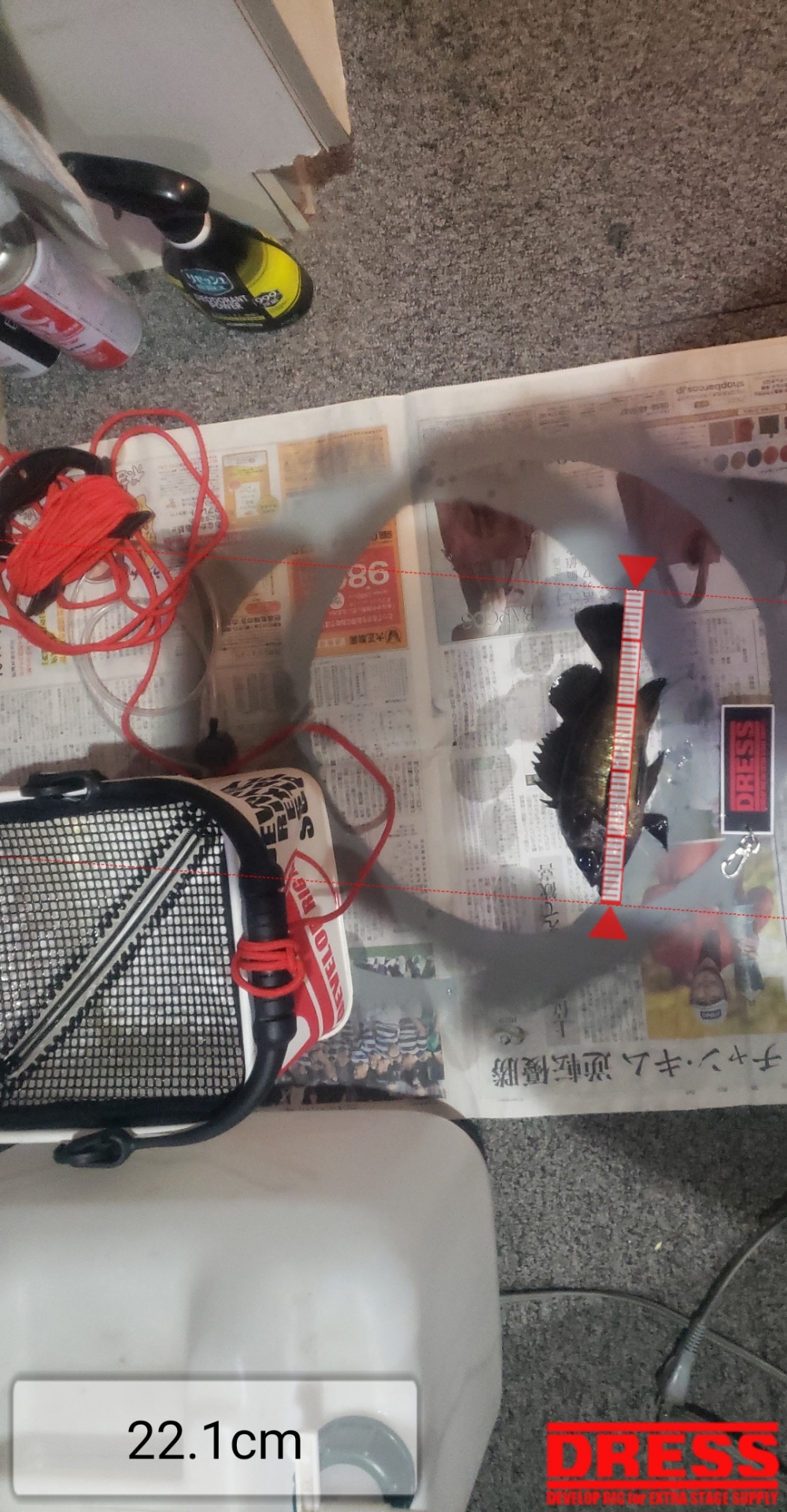 10732_0_d6de7cbeaec11f9959a5cd48e996b5f0