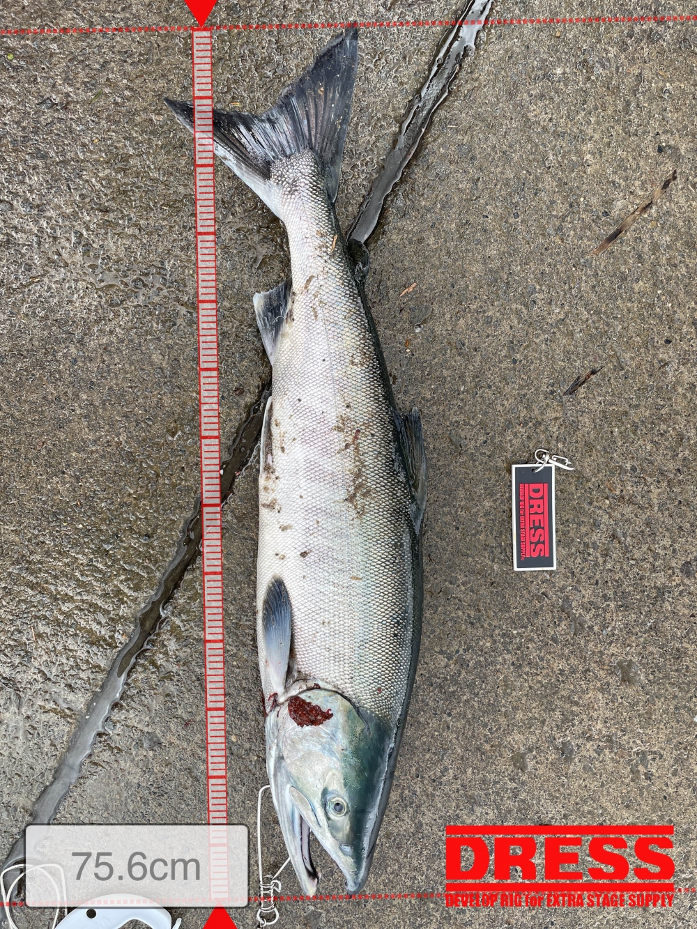 10752_0_65b6738078e3adee6de7c065c2e898f8