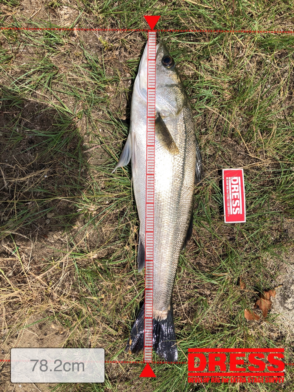 10815_0_8ba7c2aab8f45cad3b0e789e6941d3eb