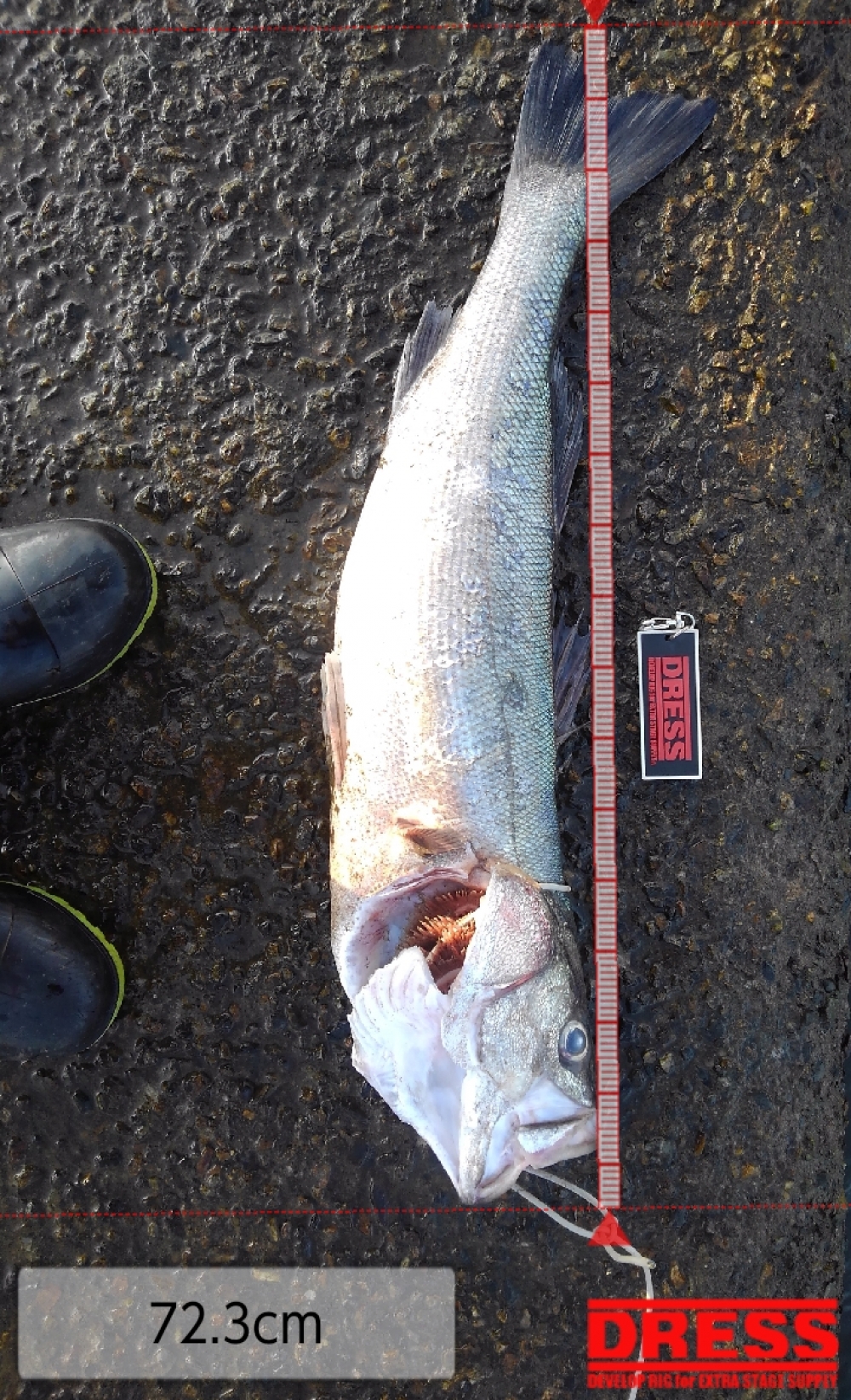 10823_0_5d610d75e992887e72c46c93fdae7d43