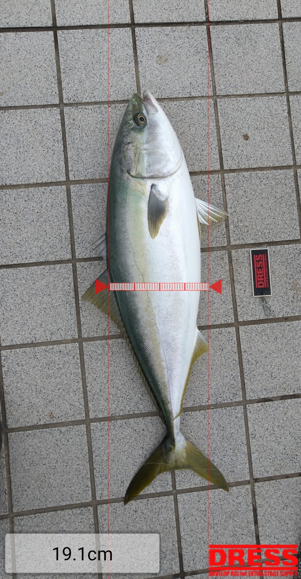 10838_0_5bd28b5b57a9390d93eb42eeb60fad9c