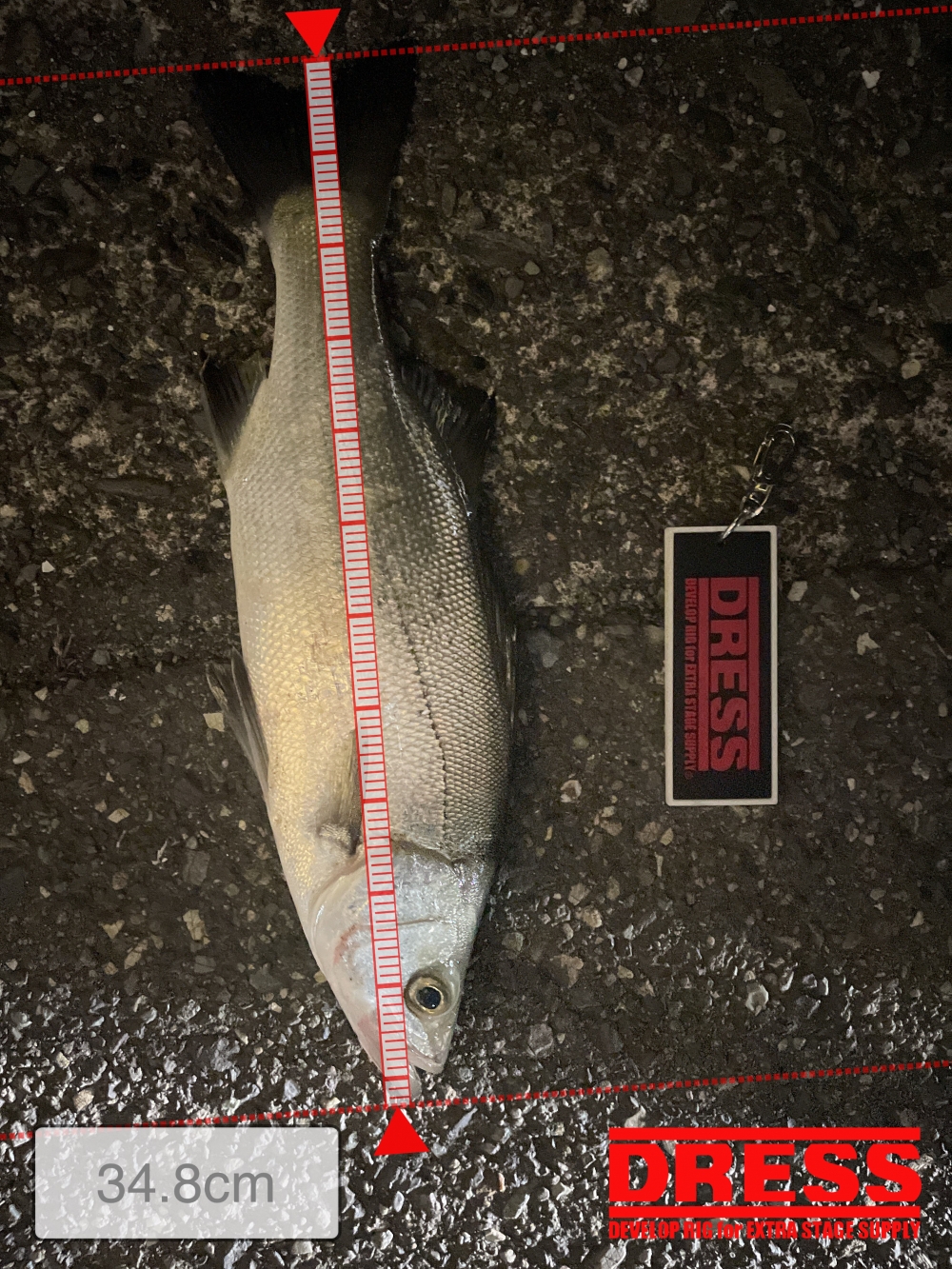 10857_0_f88bee4f043999087db56807813ec832