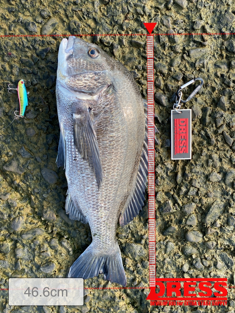 10923_0_972ef5c14e5bb2e094df7431e8306bbf