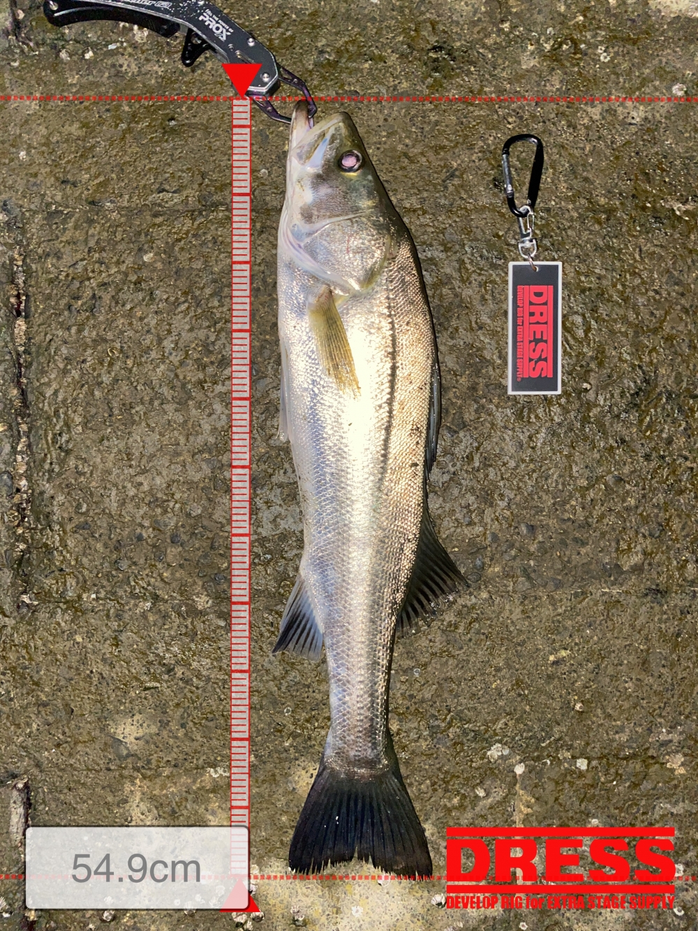 10923_0_d4da38be743e3e5be8c6231c5dddbd8f