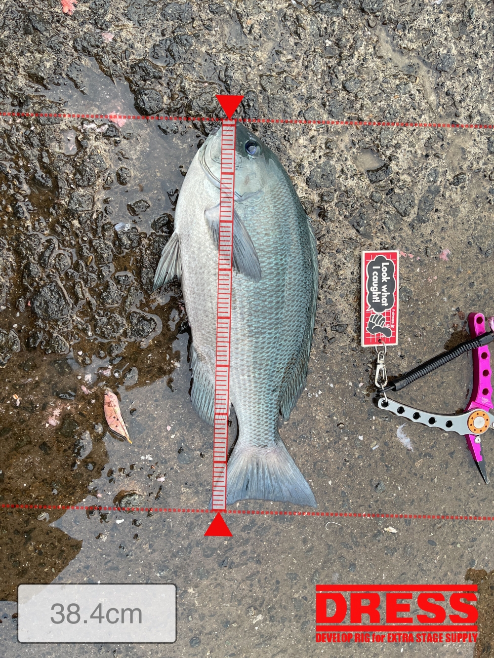 10939_0_0a7138467c29eaff3f024308dcd53494