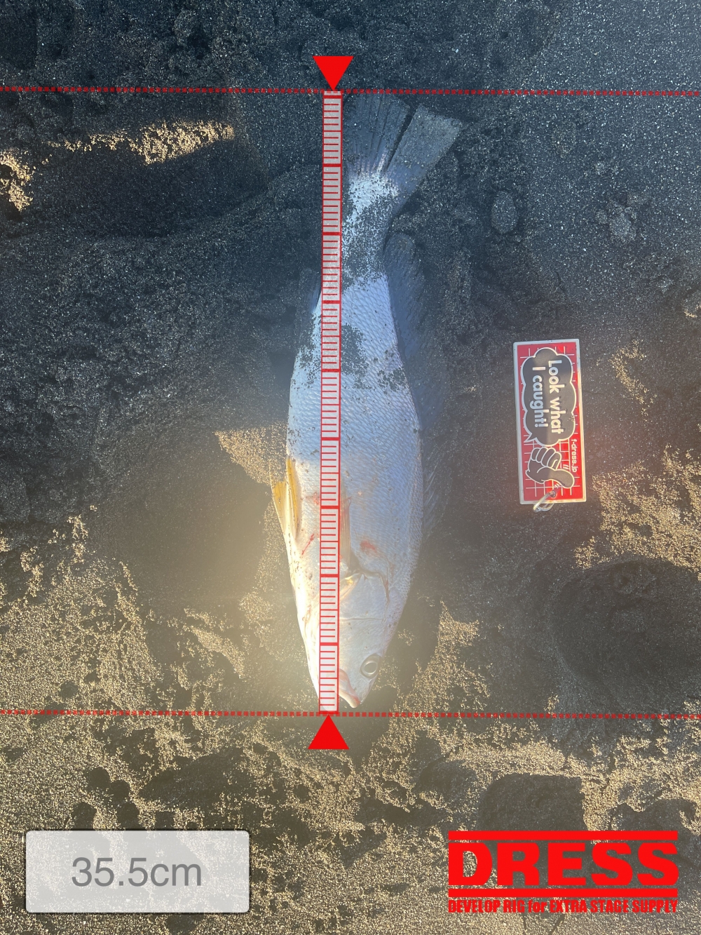 10939_0_3f8cc9565d9ab70c80151ca6857dcad8