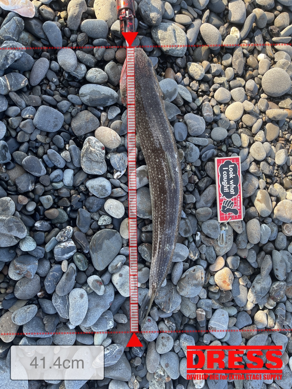 10939_0_a0fb90093949a0ee6d7918f47ea75f4d