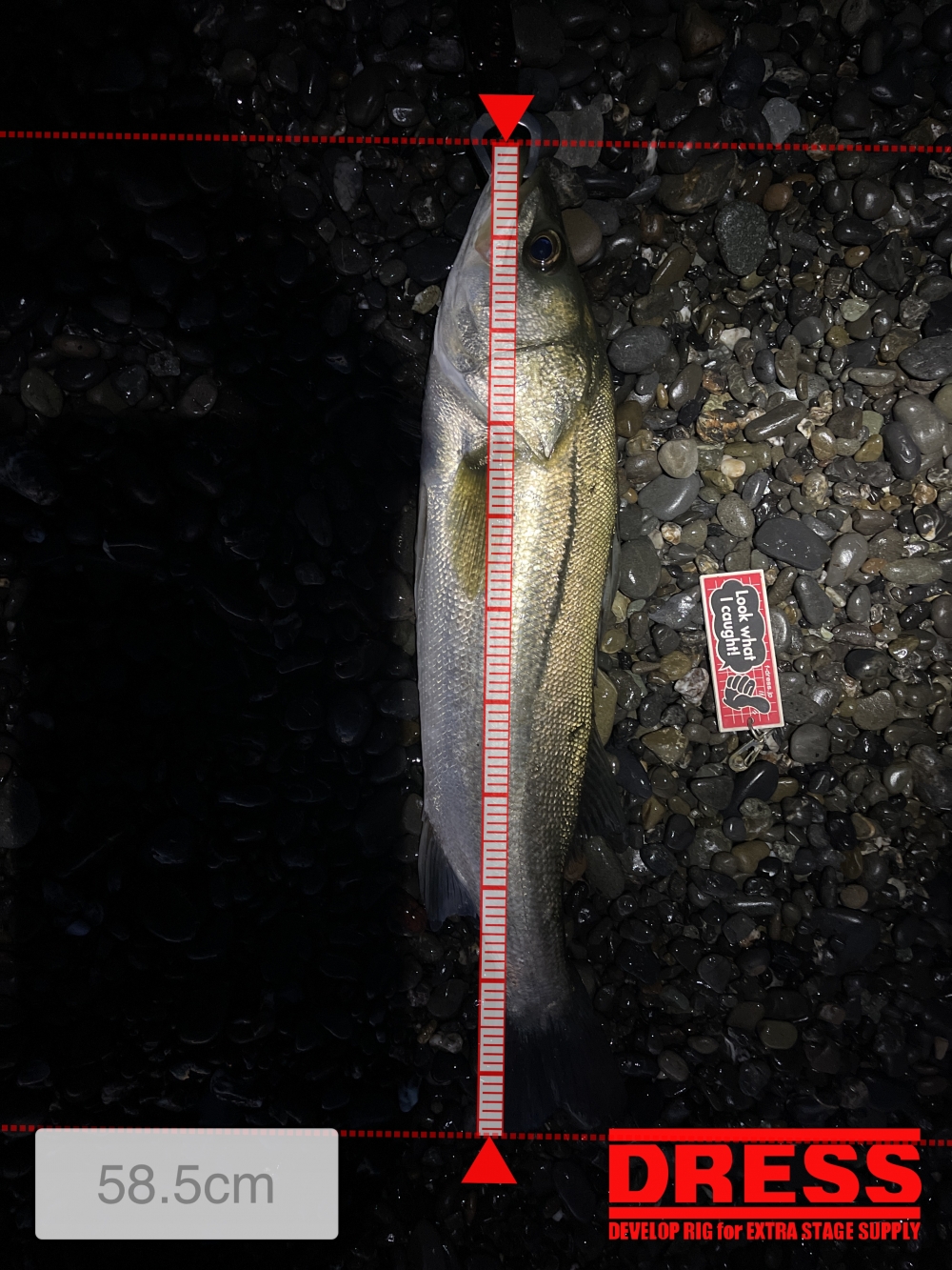 10939_0_a59e950c01144d1f00027cd5483f33e1