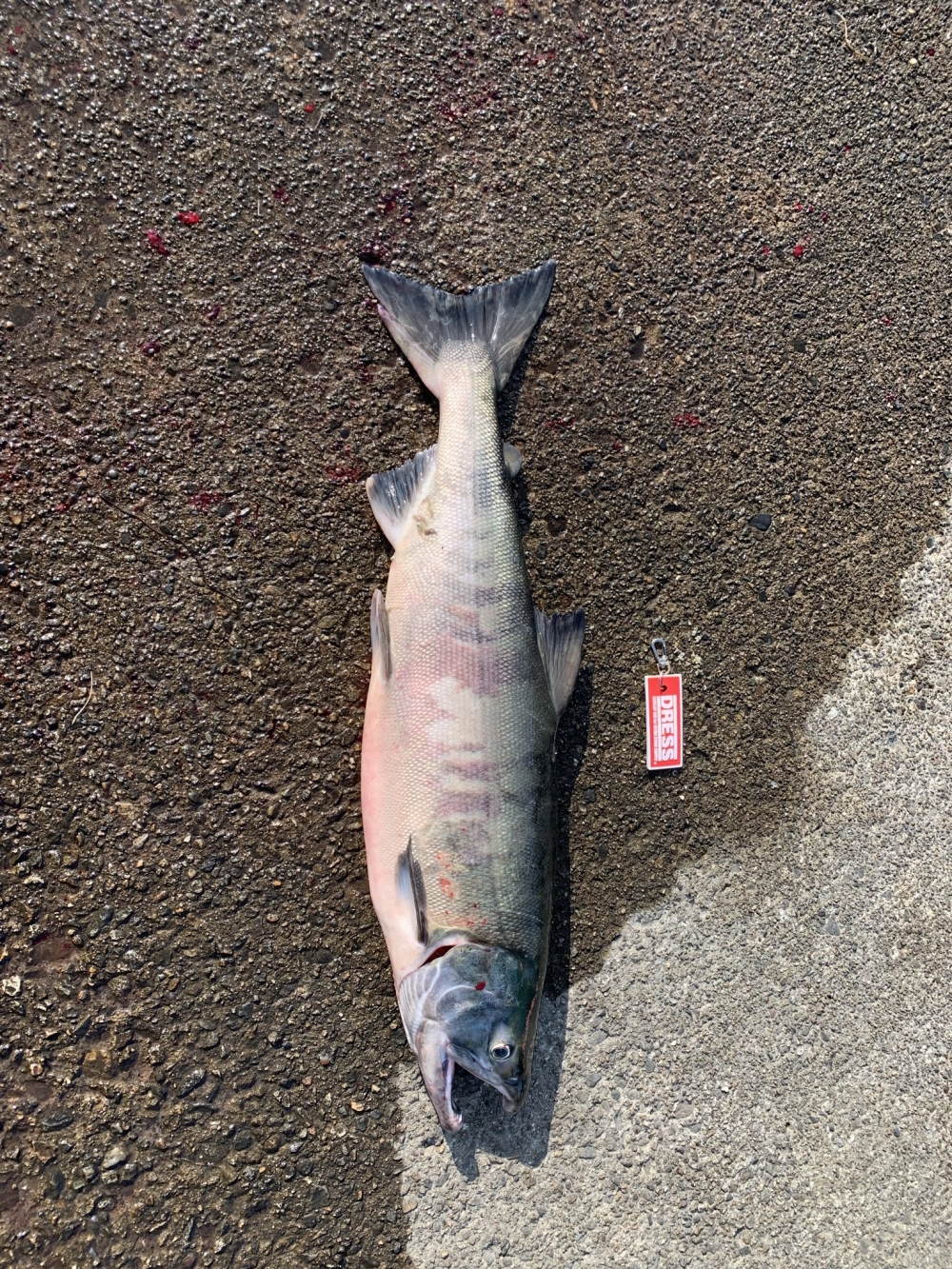 10949_0_13a8840aa56dbbc30ee4c3369492dd9b