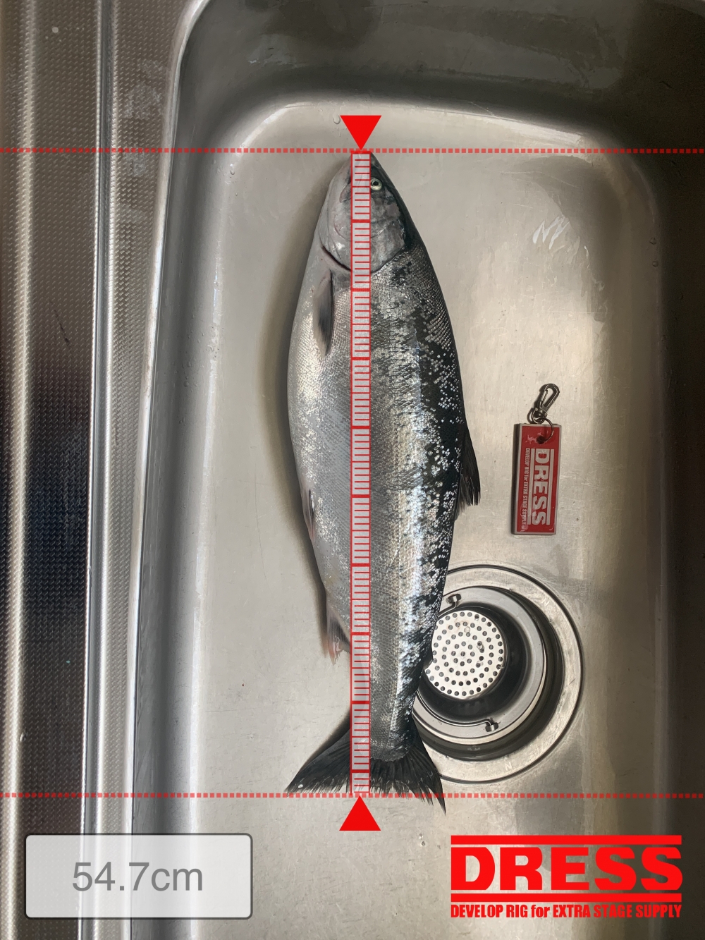 10949_0_56a4545ada12ea56044f94474b024757