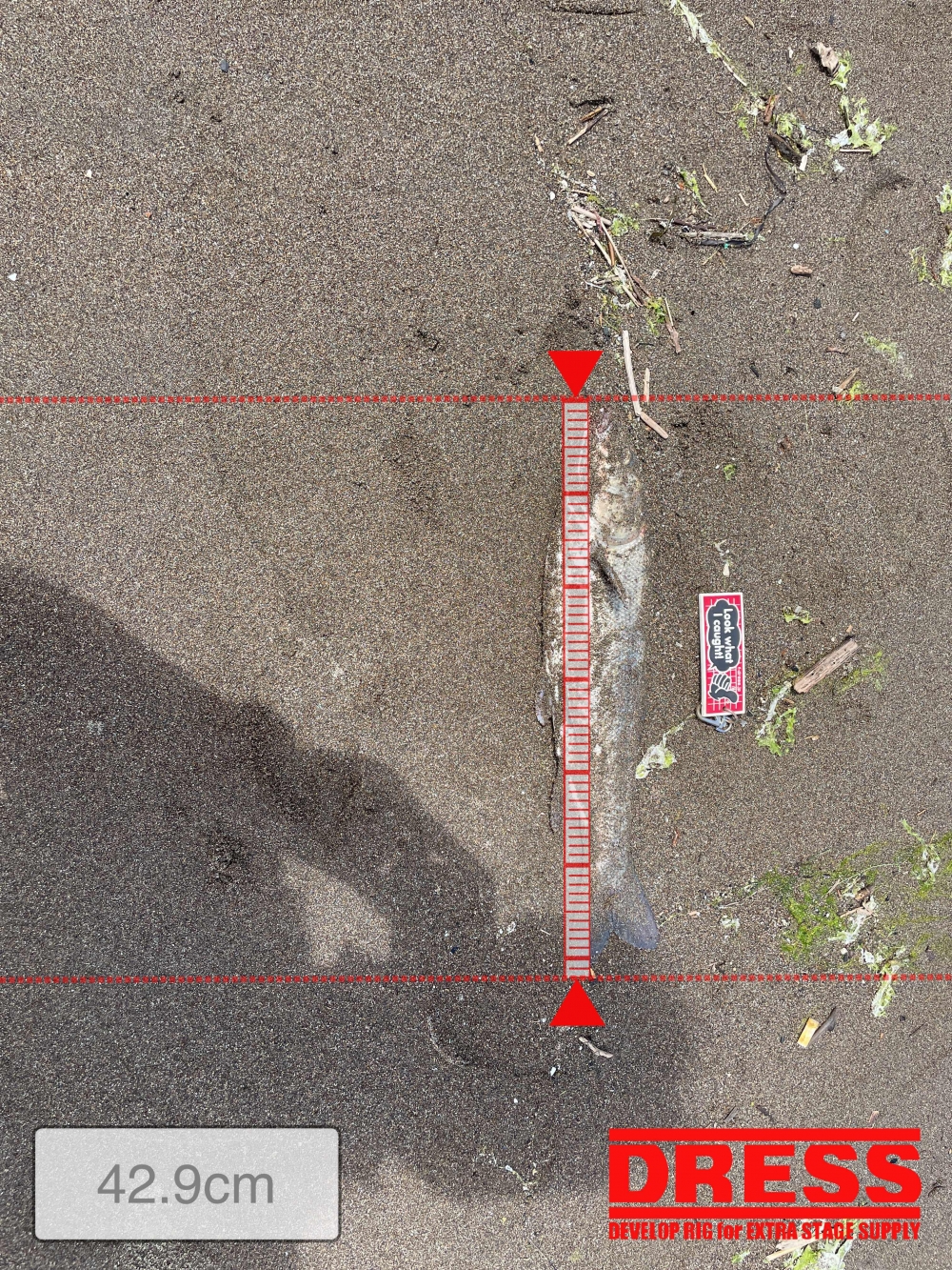 10961_0_57dedcf2857b237ad00cb573668b7c98