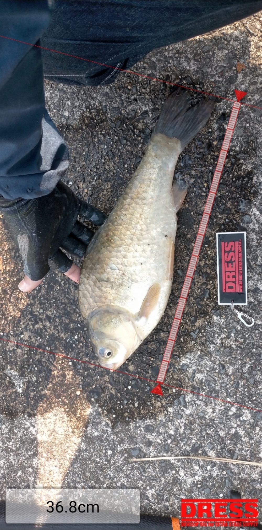 10967_0_50f553e95aa57c3c0a8e8270f84e36b2