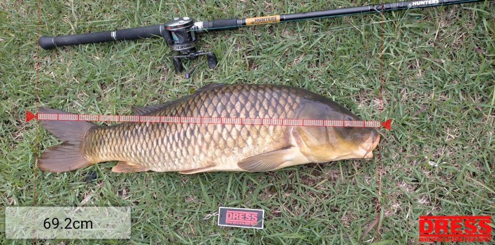 10967_0_950362243712b75bc655f1d50e636d34