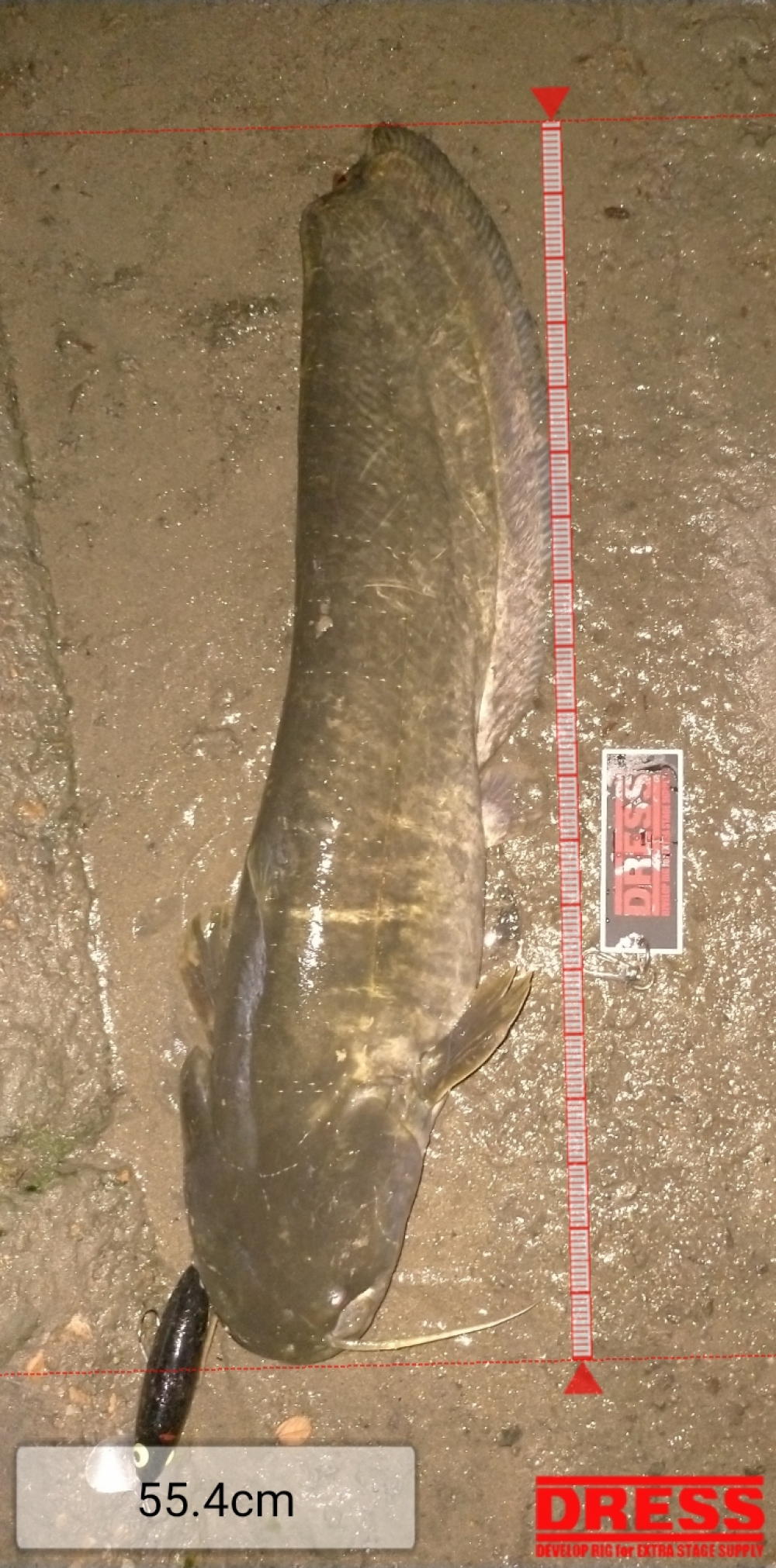 10967_0_c75fcd8a071ae7efc03cfbdcaf716663