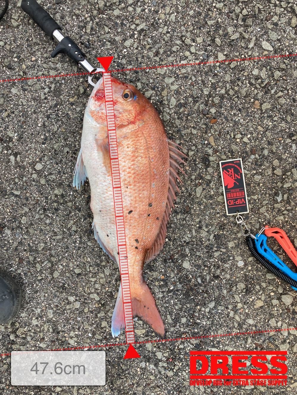 10997_0_45c24540821b016591f0c823da0238b2