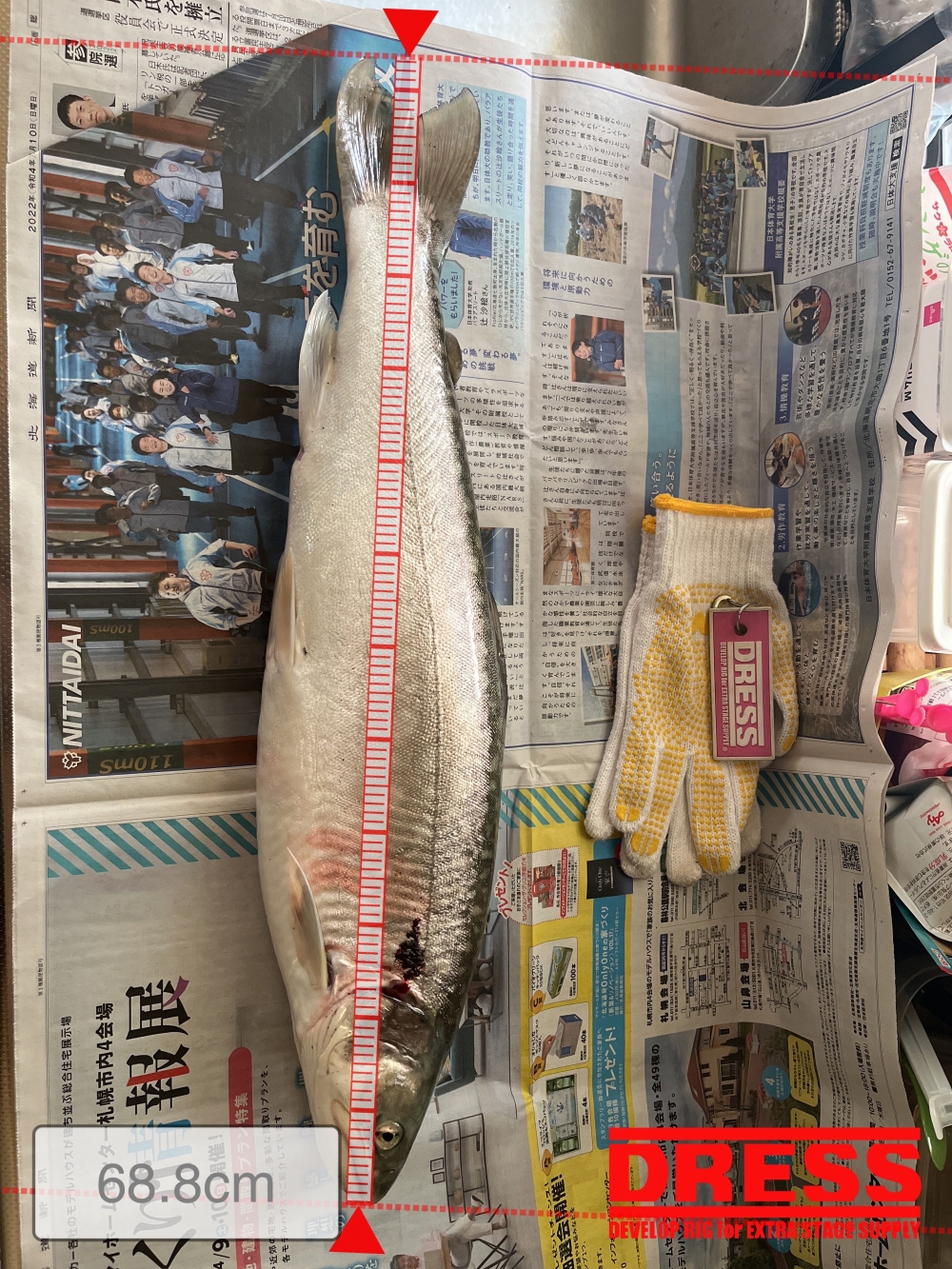 11026_0_e1743f972b75404b783e1dc41b30021b