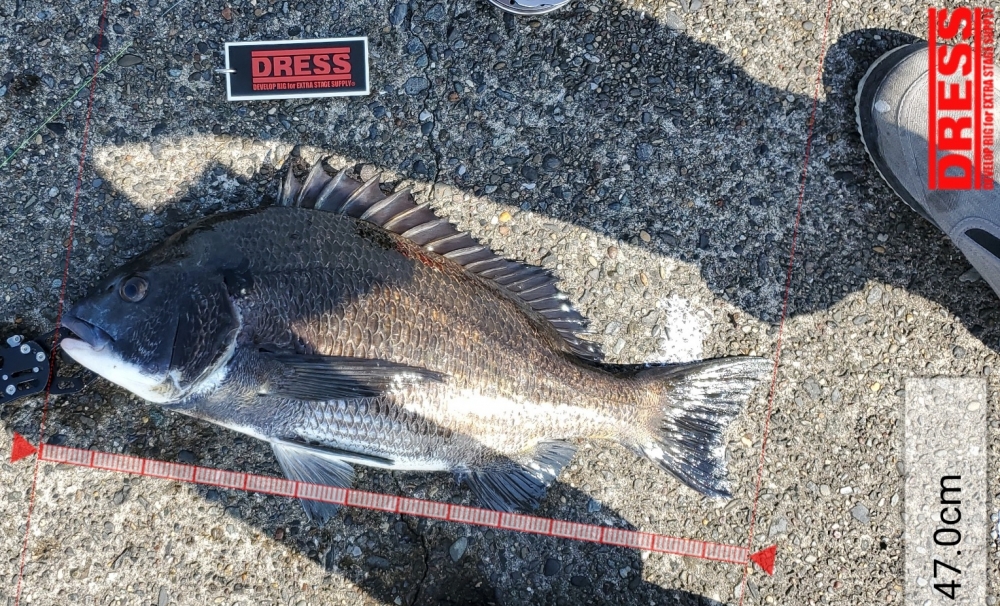 11057_0_07107368e58fb24c4e1628a8cb3c0cff