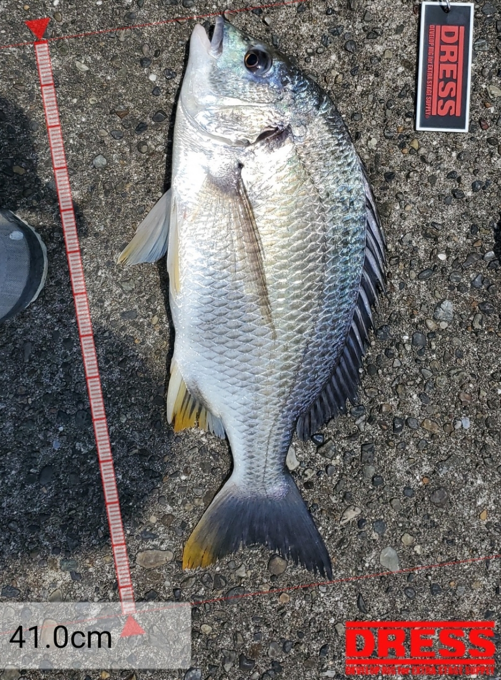 11057_0_16f297934c74f2c23740cbacf4665894