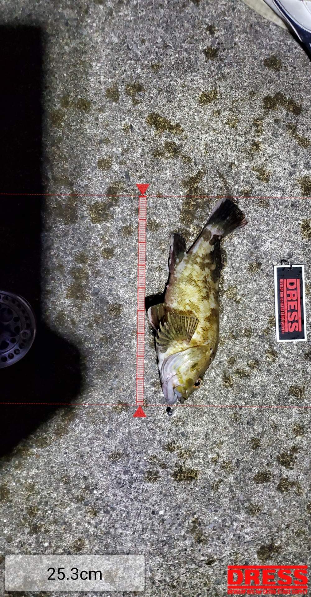 11057_0_60002a727bdef245e491fca804c9ed32