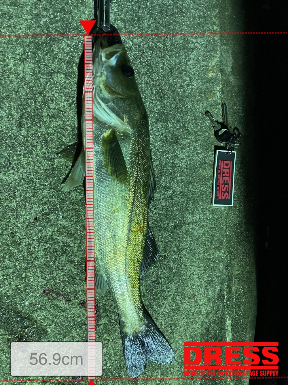 11062_0_04fe53a9cda7770ccca61c55d9ed0a5a