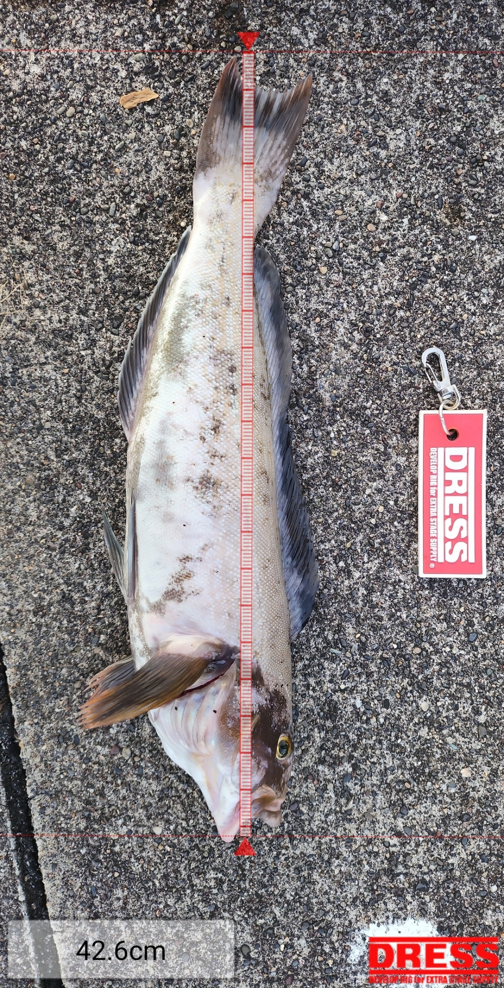 11107_0_04a12fda631228d28e3841b9a963b1e6