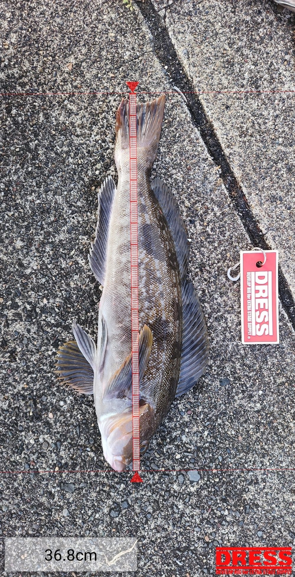 11107_0_47333e52f64b595687dbfca60a64c4d1