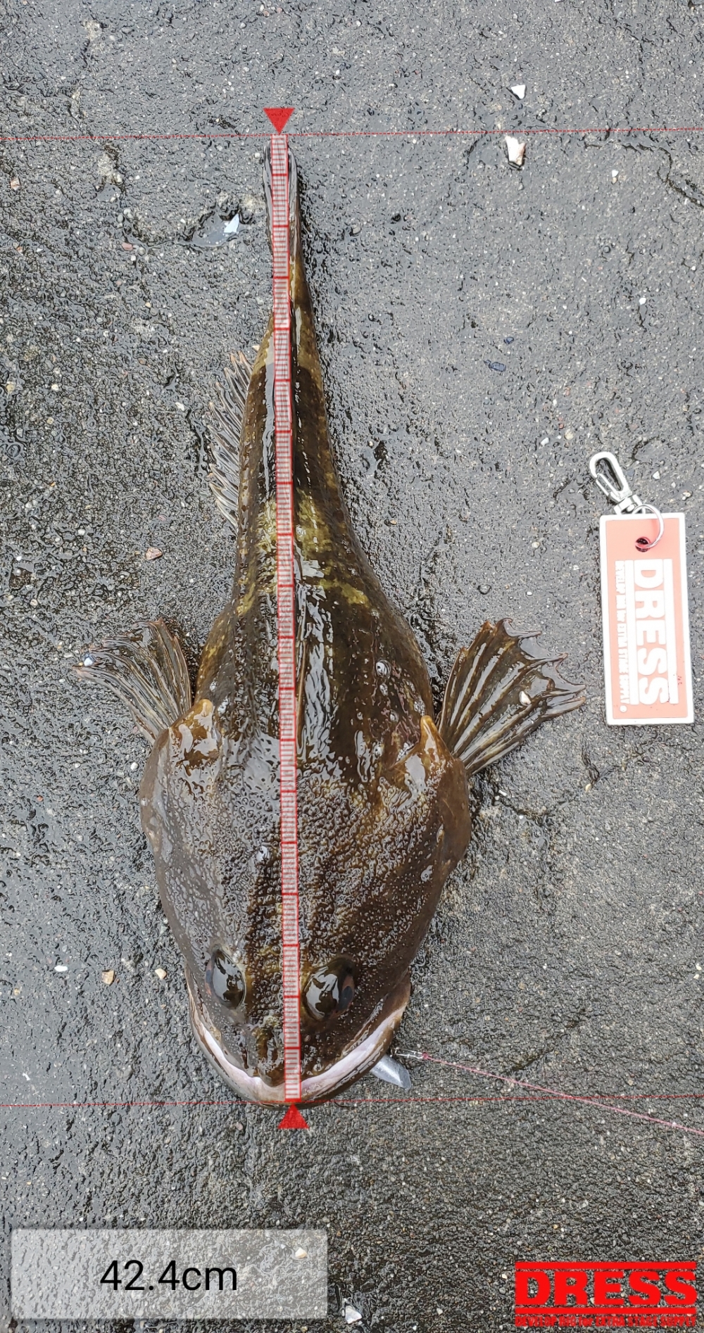 11107_0_a4382497e4aae73b778d5ae20a911a8a