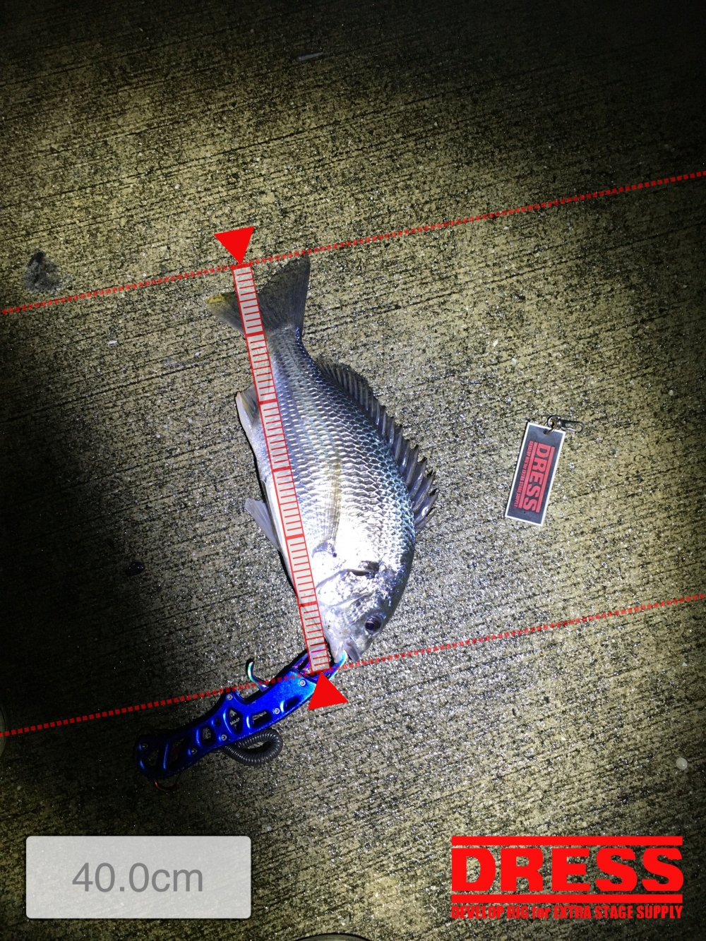 11119_0_001046dd18cb761127cde5b842db641e