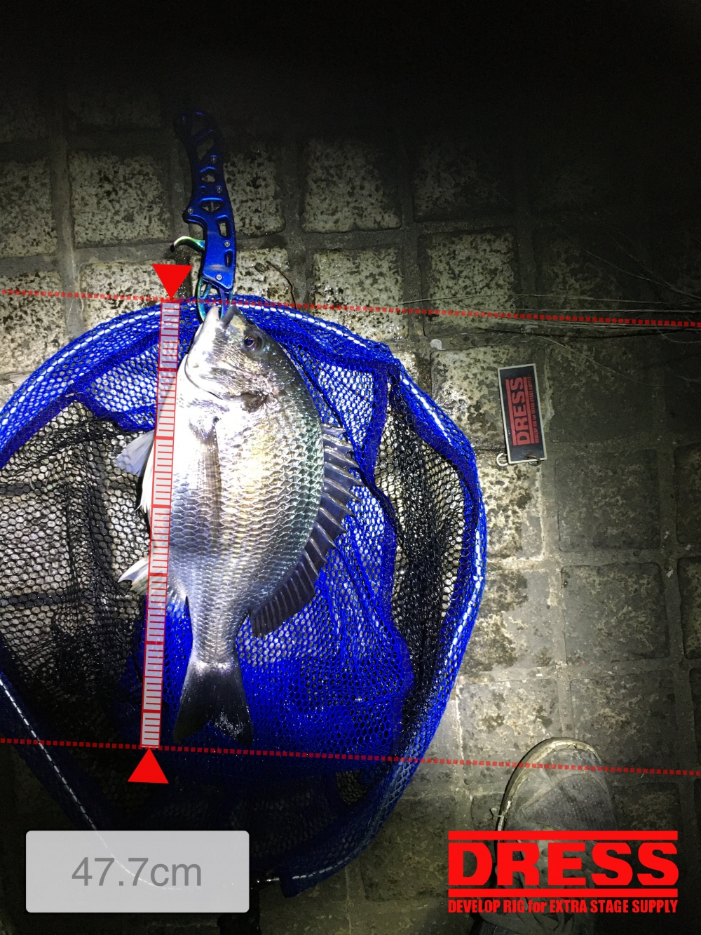 11119_0_3be3240741eb6dfdc43bb9d1cb847f91