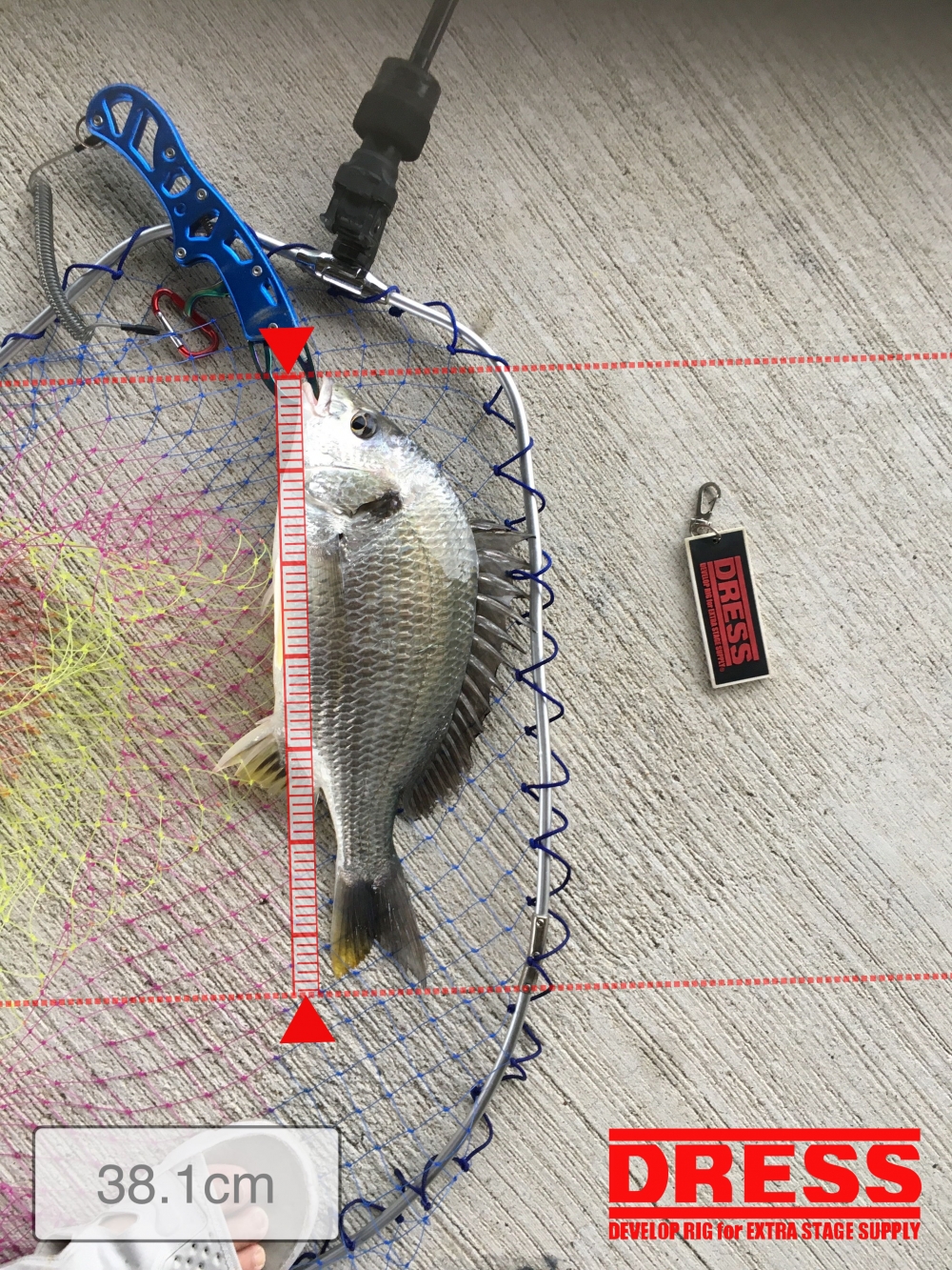 11119_0_5340772e34b3618b0194e612ef66ab02