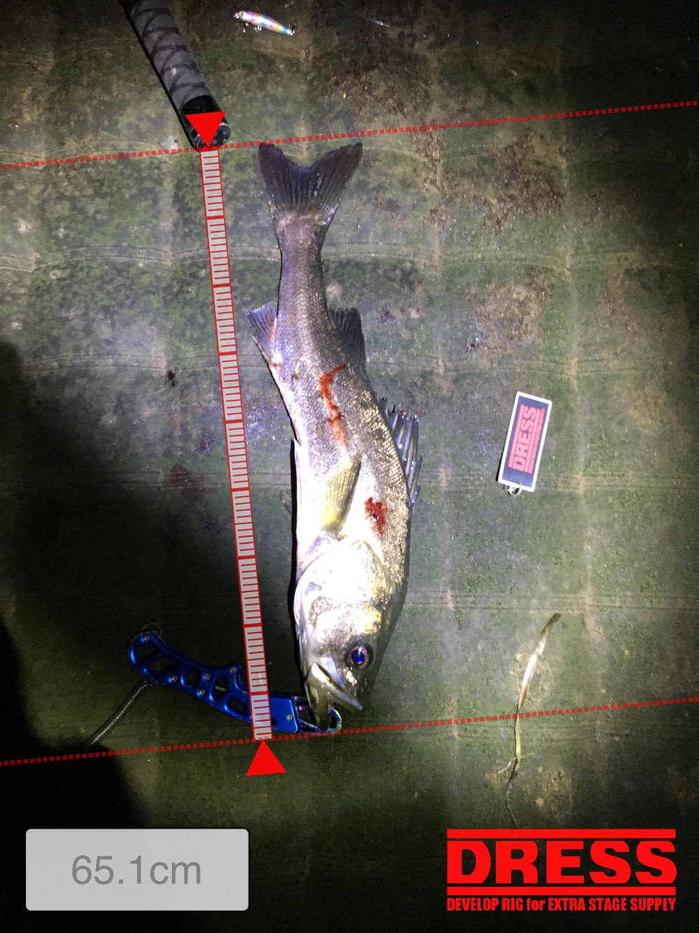 11119_0_59495e9b1b773a261e08e4479b08499f