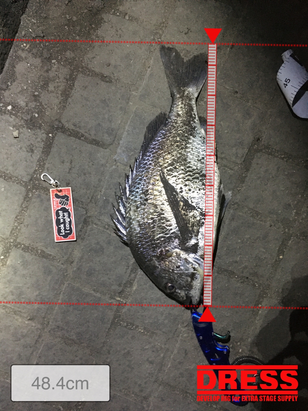 11119_0_61f8b596fee2040d0e071bae09c655f7