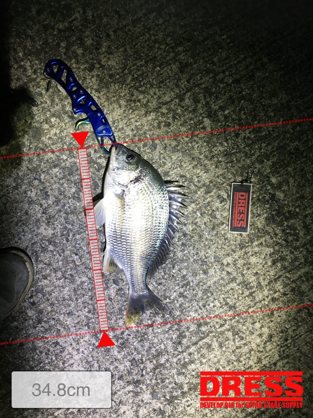 11119_0_758f002f4b900fb620793168a903c0bf