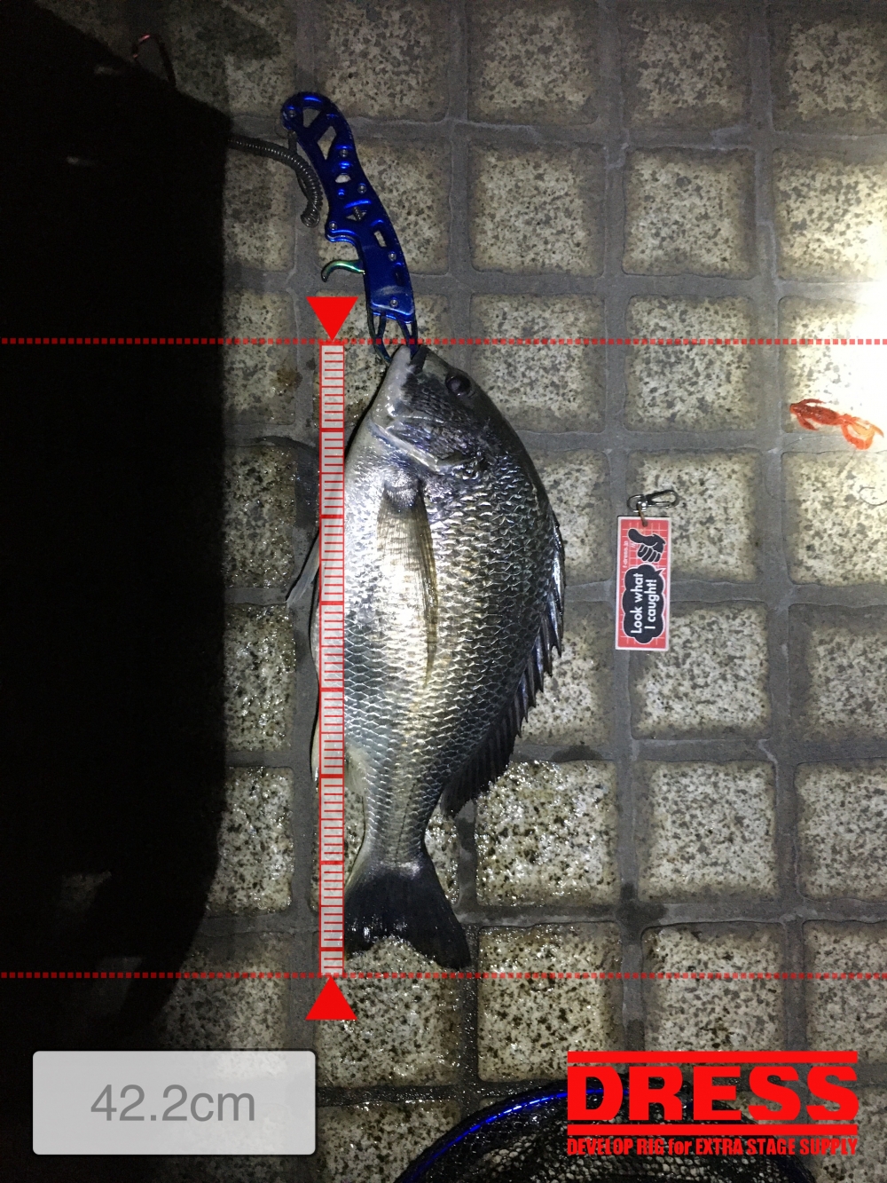 11119_0_bf3d86cf852e47a71f68c902390b744f